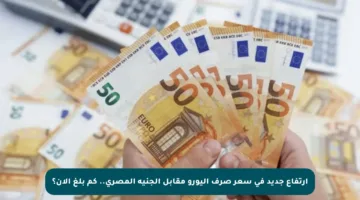 ارتفاع جديد في سعر صرف اليورو مقابل الجنيه المصري.. كم بلغ الآن؟